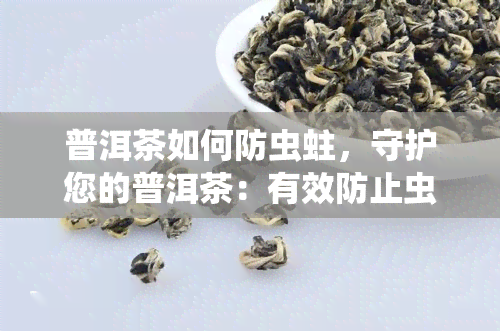 普洱茶如何防虫蛀，守护您的普洱茶：有效防止虫蛀的技巧与方法