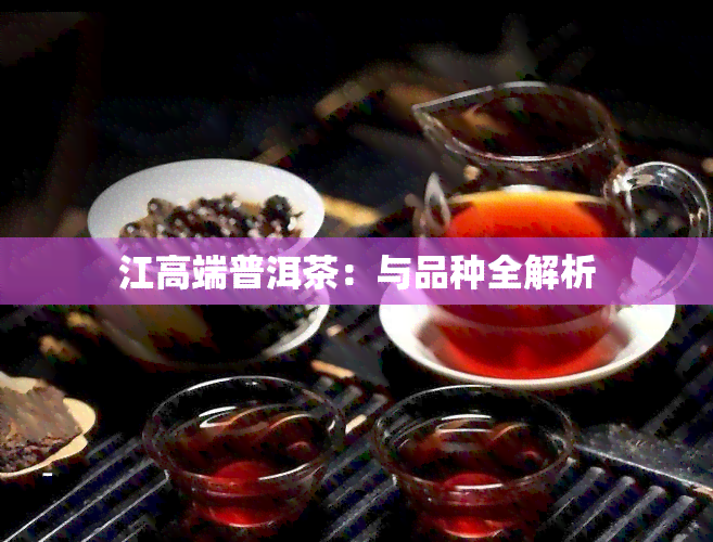 江高端普洱茶：与品种全解析