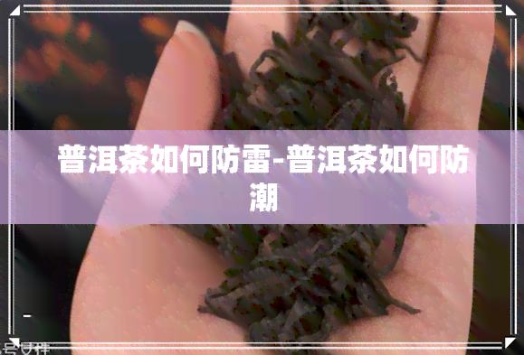 普洱茶如何防雷-普洱茶如何防潮