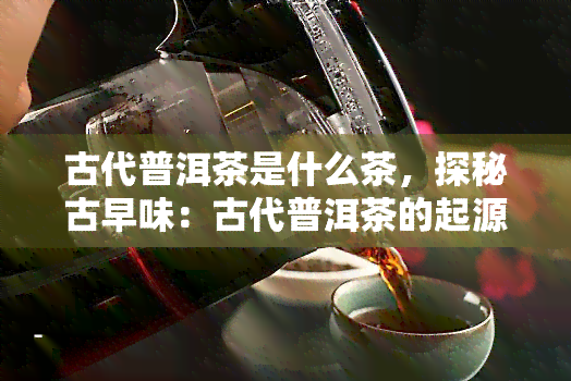 古代普洱茶是什么茶，探秘古早味：古代普洱茶的起源与分类