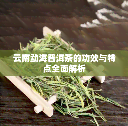 云南勐海普洱茶的功效与特点全面解析