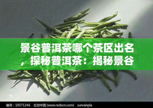 景谷普洱茶哪个茶区出名，探秘普洱茶：揭秘景谷地区哪些茶区最为知名？