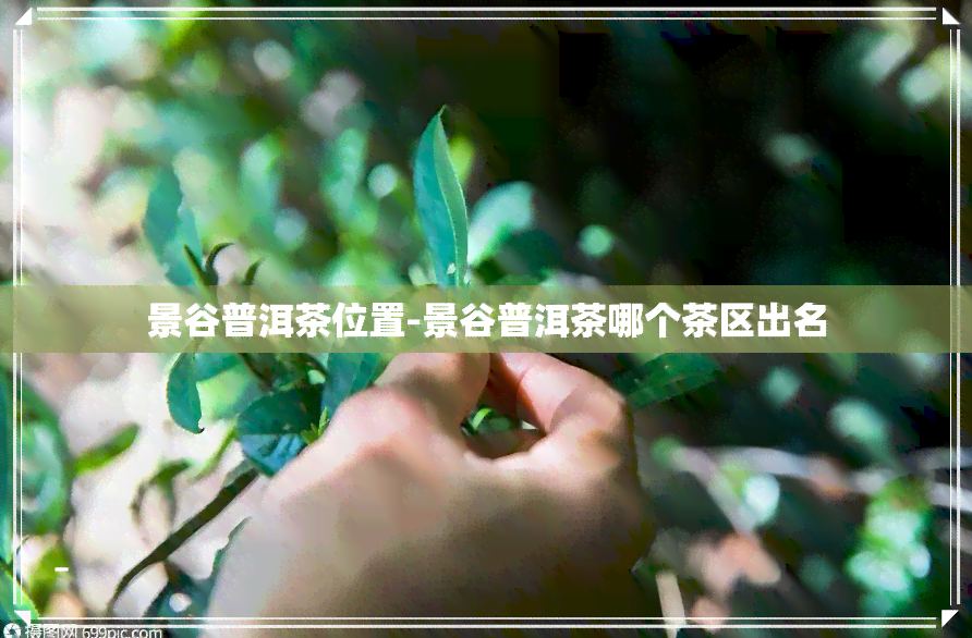 景谷普洱茶位置-景谷普洱茶哪个茶区出名