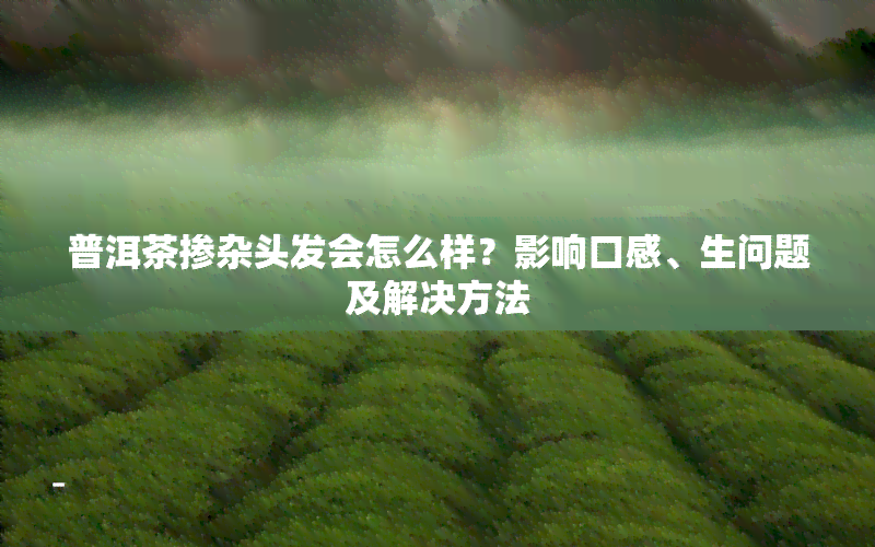 普洱茶掺杂头发会怎么样？影响口感、生问题及解决方法