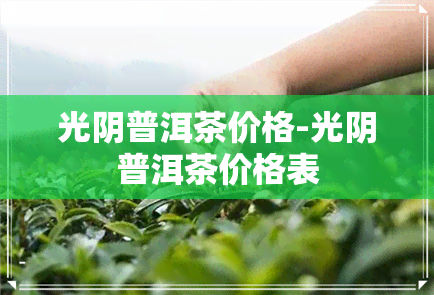 光阴普洱茶价格-光阴普洱茶价格表