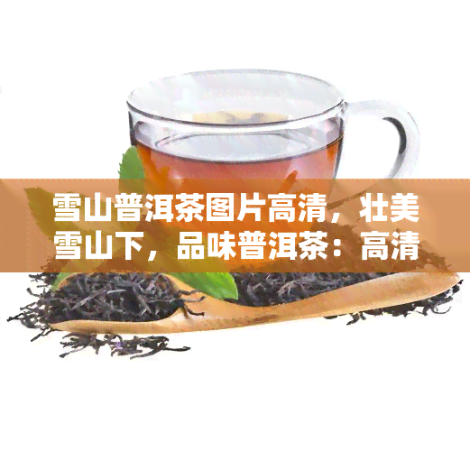 雪山普洱茶图片高清，壮美雪山下，品味普洱茶：高清图片带你领略大自然与人文的交融