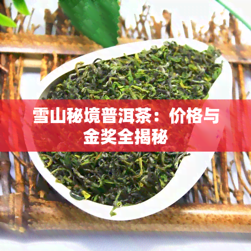 雪山秘境普洱茶：价格与金奖全揭秘