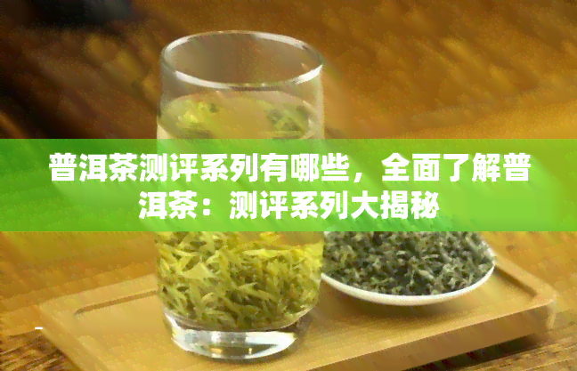 普洱茶测评系列有哪些，全面了解普洱茶：测评系列大揭秘