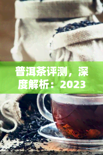 普洱茶评测，深度解析：2023年普洱茶评测报告