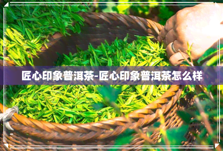 匠心印象普洱茶-匠心印象普洱茶怎么样