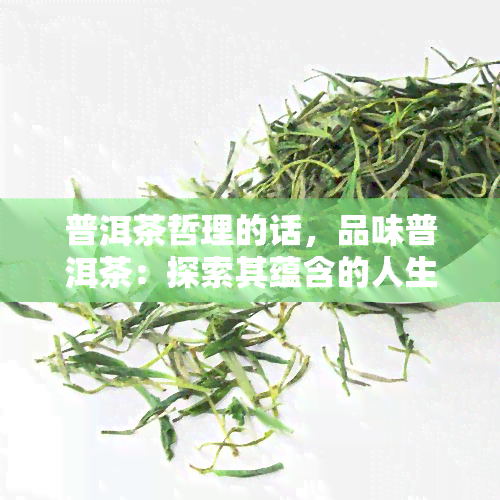 普洱茶哲理的话，品味普洱茶：探索其蕴含的人生哲理与智慧