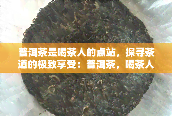 普洱茶是喝茶人的点站，探寻茶道的极致享受：普洱茶，喝茶人的点站