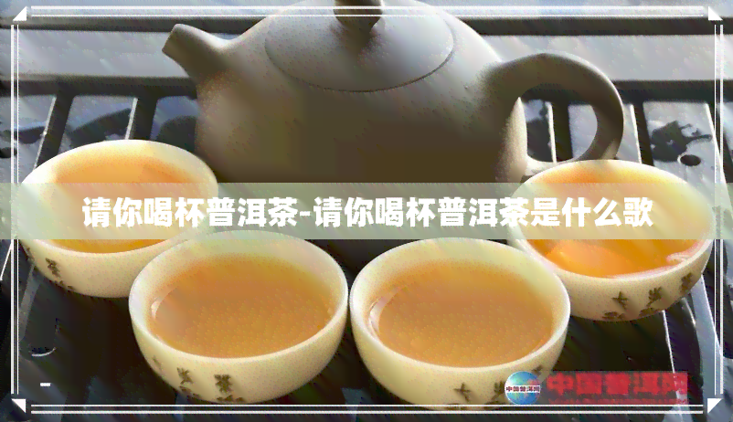 请你喝杯普洱茶-请你喝杯普洱茶是什么歌