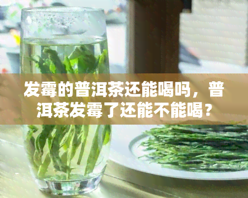 发霉的普洱茶还能喝吗，普洱茶发霉了还能不能喝？