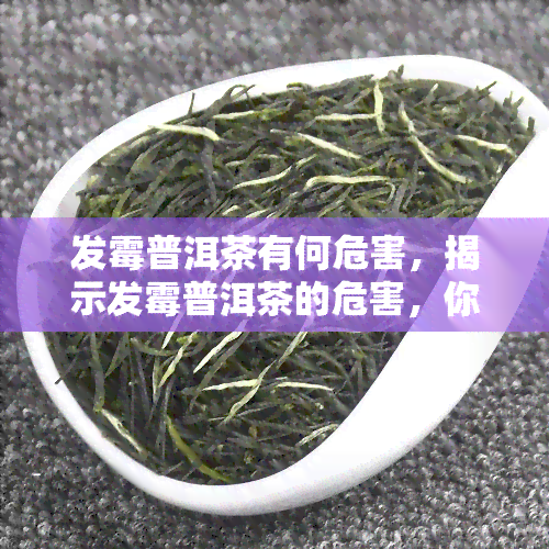 发霉普洱茶有何危害，揭示发霉普洱茶的危害，你可能不知道的健风险