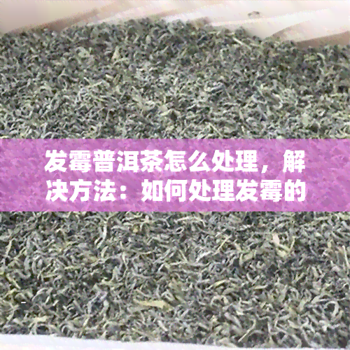 发霉普洱茶怎么处理，解决方法：如何处理发霉的普洱茶？