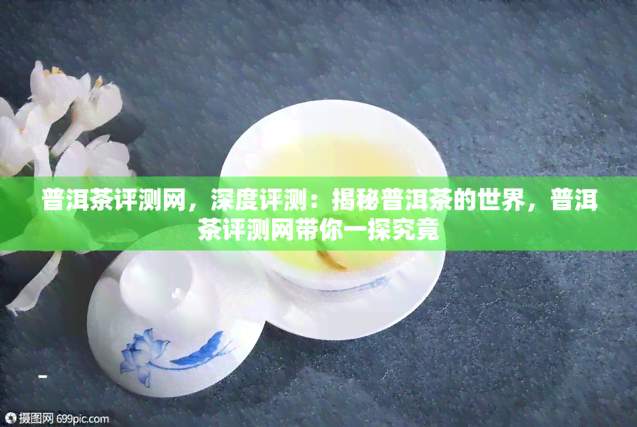 普洱茶评测网，深度评测：揭秘普洱茶的世界，普洱茶评测网带你一探究竟