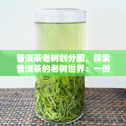 普洱茶老树划分图，探索普洱茶的老树世界：一份详细划分地图