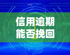 信用逾期能否挽回？全网热议！解决方案大揭秘