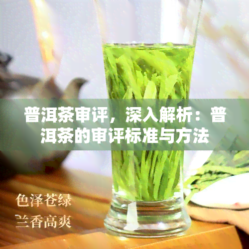 普洱茶审评，深入解析：普洱茶的审评标准与方法