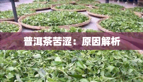 普洱茶苦涩：原因解析