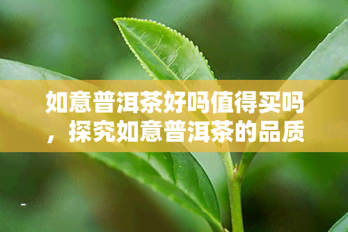 如意普洱茶好吗值得买吗，探究如意普洱茶的品质：是否值得购买？