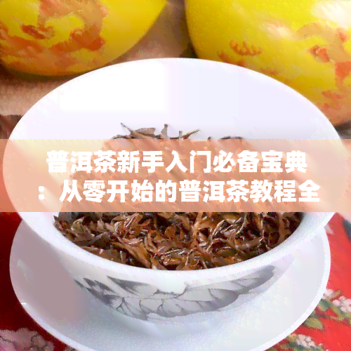 普洱茶新手入门必备宝典：从零开始的普洱茶教程全攻略