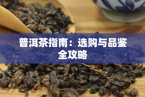 普洱茶指南：选购与品鉴全攻略