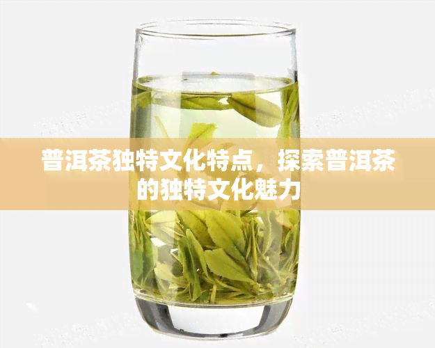 普洱茶独特文化特点，探索普洱茶的独特文化魅力