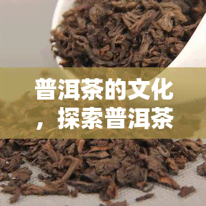 普洱茶的文化，探索普洱茶文化的魅力：历、制作与品尝技巧