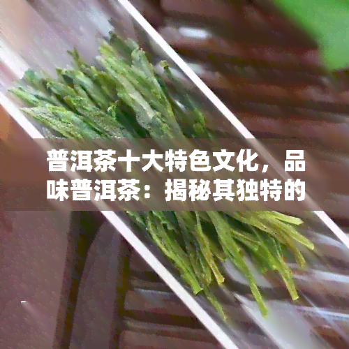 普洱茶十大特色文化，品味普洱茶：揭秘其独特的十大文化特色