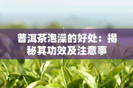 普洱茶泡澡的好处：揭秘其功效及注意事