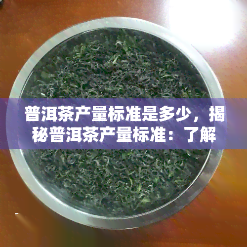 普洱茶产量标准是多少，揭秘普洱茶产量标准：了解这一关键信息