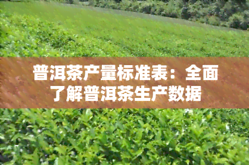 普洱茶产量标准表：全面了解普洱茶生产数据