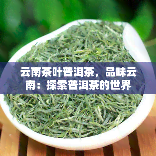 云南茶叶普洱茶，品味云南：探索普洱茶的世界