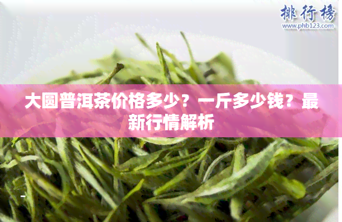 大圆普洱茶价格多少？一斤多少钱？最新行情解析