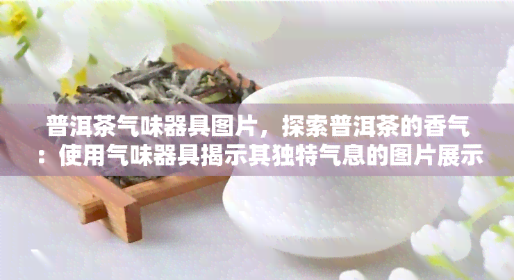 普洱茶气味器具图片，探索普洱茶的香气：使用气味器具揭示其独特气息的图片展示