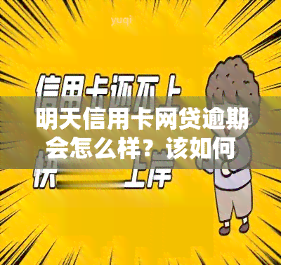 明天信用卡网贷逾期会怎么样？该如何应对？