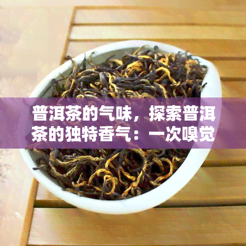 普洱茶的气味，探索普洱茶的独特香气：一次嗅觉之旅