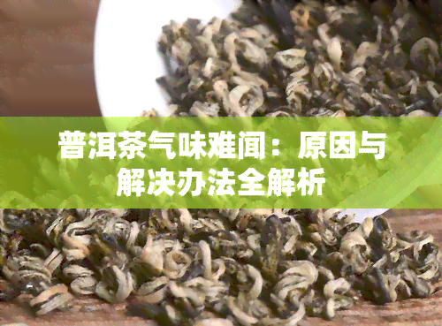 普洱茶气味难闻：原因与解决办法全解析