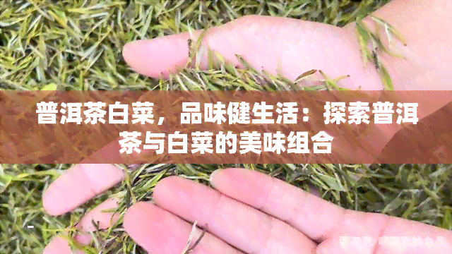 普洱茶白菜，品味健生活：探索普洱茶与白菜的美味组合