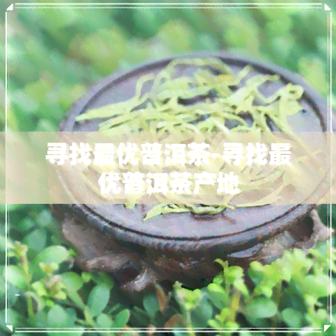 寻找更优普洱茶-寻找更优普洱茶产地