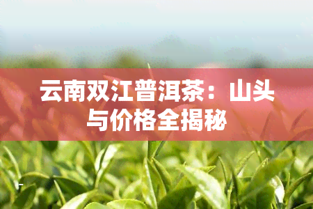 云南双江普洱茶：山头与价格全揭秘