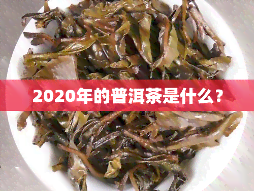 2020年的普洱茶是什么？