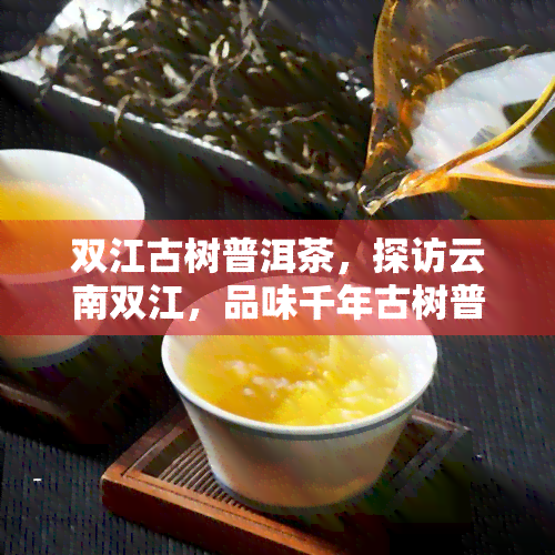 双江古树普洱茶，探访云南双江，品味千年古树普洱茶的韵味