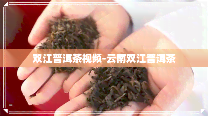 双江普洱茶视频-云南双江普洱茶