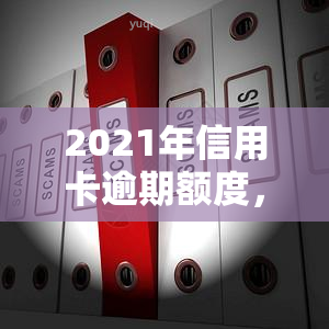 2021年信用卡逾期额度，揭秘2021年信用卡逾期额度：你可能需要知道的一切