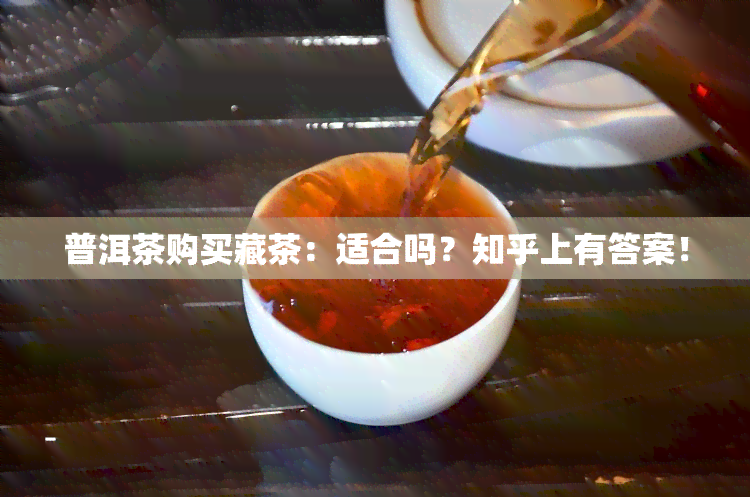 普洱茶购买藏茶：适合吗？知乎上有答案！