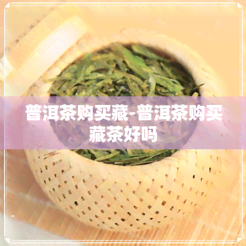 普洱茶购买藏-普洱茶购买藏茶好吗