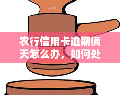 农行信用卡逾期俩天怎么办，如何处理农行信用卡逾期两天的问题？